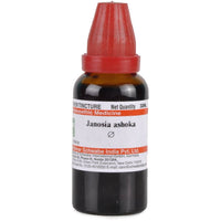 https://cdn.shopify.com/s/files/1/1857/6931/products/m6xvfq3YnV.jpg?v=1637222505