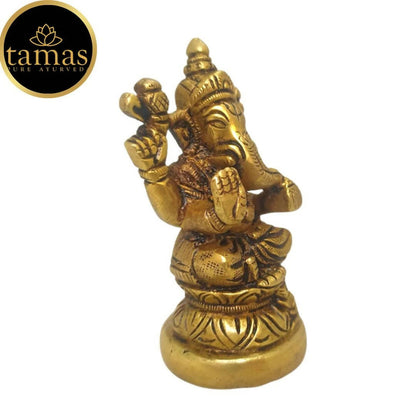 https://cdn.shopify.com/s/files/1/1857/6931/products/m7xB3JTEub.jpg?v=1681465880