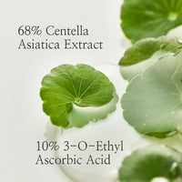 https://cdn.shopify.com/s/files/1/1857/6931/files/m8aZEGb9kx.jpg?v=1721645885