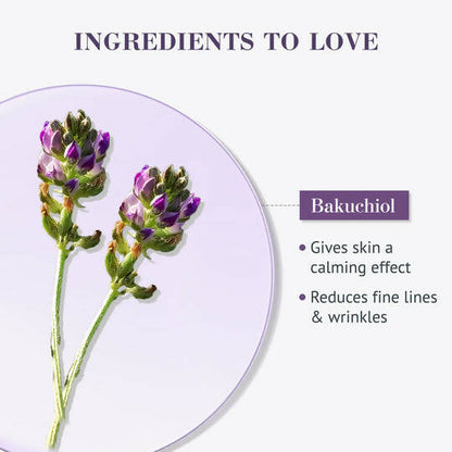 https://cdn.shopify.com/s/files/1/1857/6931/products/m9sKN4ZMti.jpg?v=1697455977