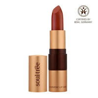 https://cdn.shopify.com/s/files/1/1857/6931/products/mAWdFikTM4.jpg?v=1629535806