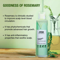 https://cdn.shopify.com/s/files/1/1857/6931/files/mBOp3wME7P.jpg?v=1713250092