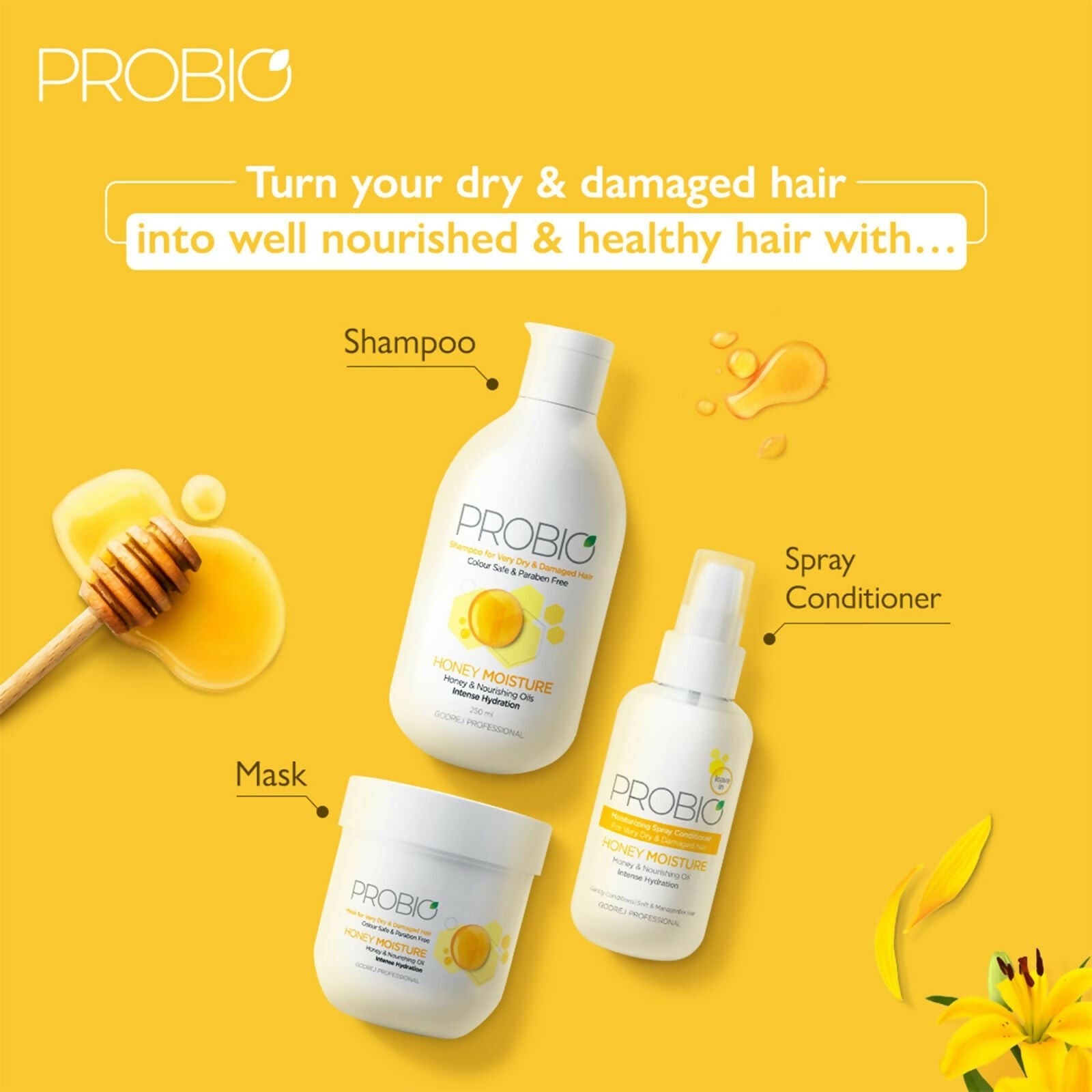 https://cdn.shopify.com/s/files/1/1857/6931/files/mBl0FlavDu.jpg?v=1732189742