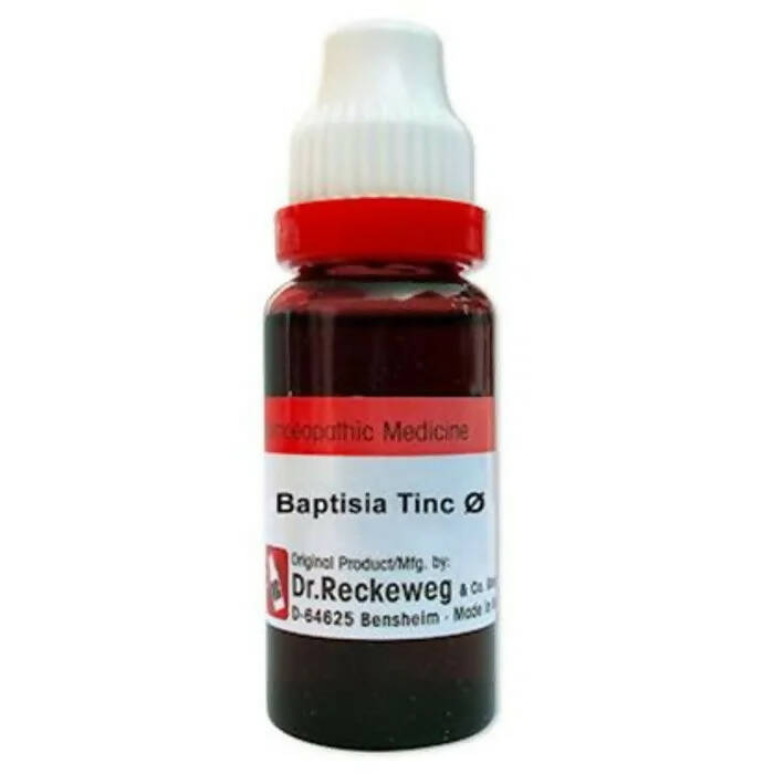 https://cdn.shopify.com/s/files/1/1857/6931/products/mCg4iOnWEh.jpg?v=1680519572