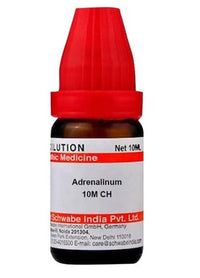 https://cdn.shopify.com/s/files/1/1857/6931/products/mID8XPqDal.jpg?v=1641551927