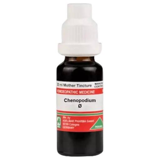 https://cdn.shopify.com/s/files/1/1857/6931/files/mKlt5goWUD-292937.jpg?v=1759312303