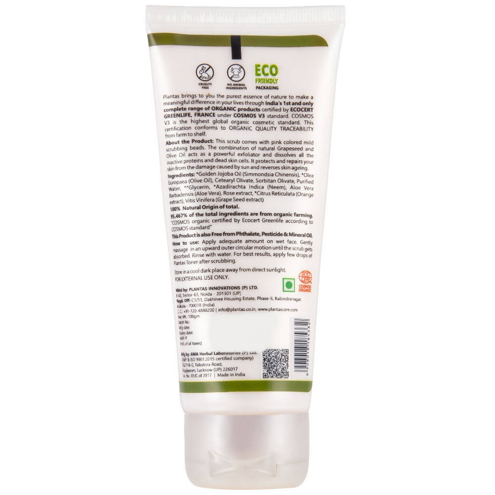 https://cdn.shopify.com/s/files/1/1857/6931/products/mLFwAvj6Jw.jpg?v=1653310656
