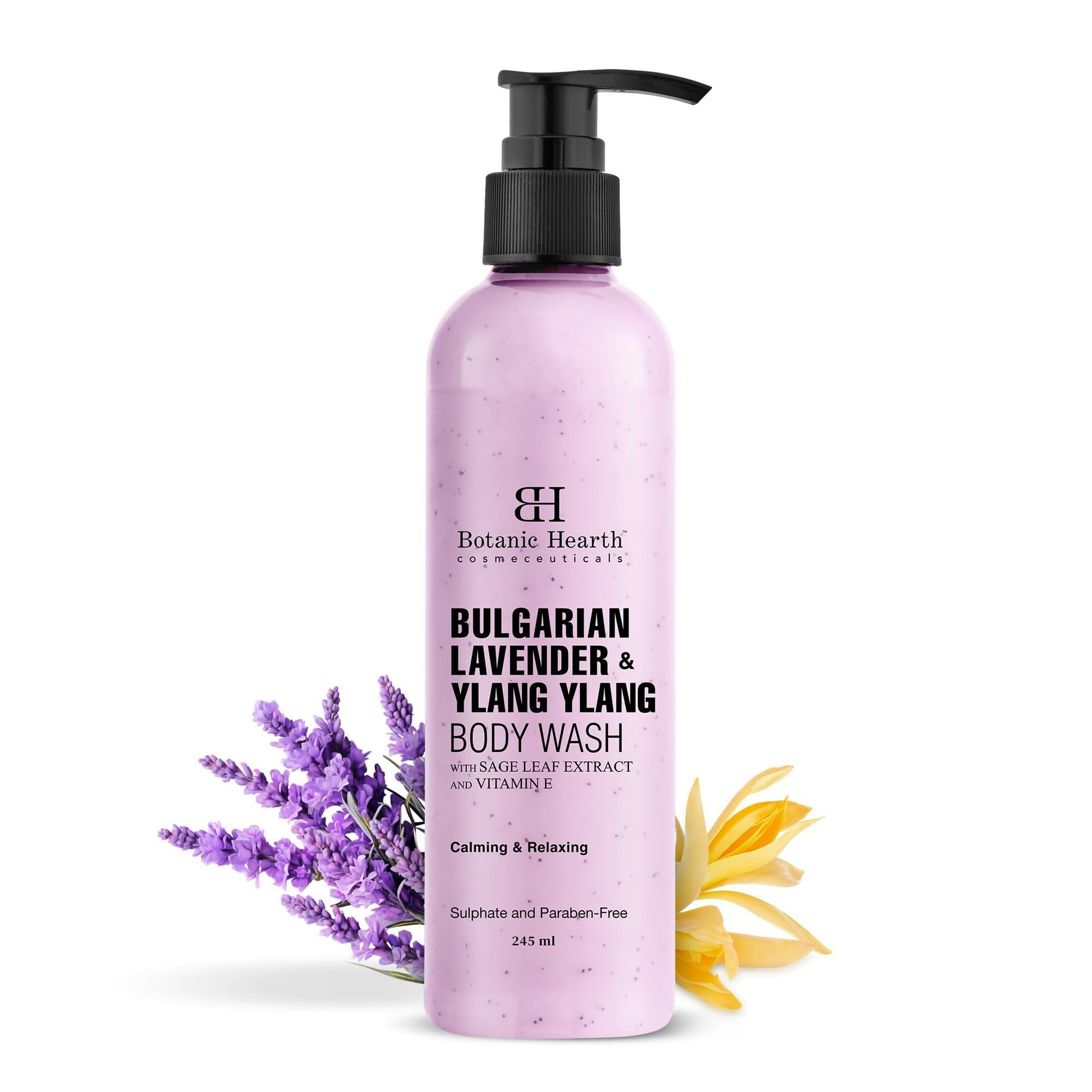 https://cdn.shopify.com/s/files/1/1857/6931/files/mMRcZ9tSeE.jpg?v=1728048759