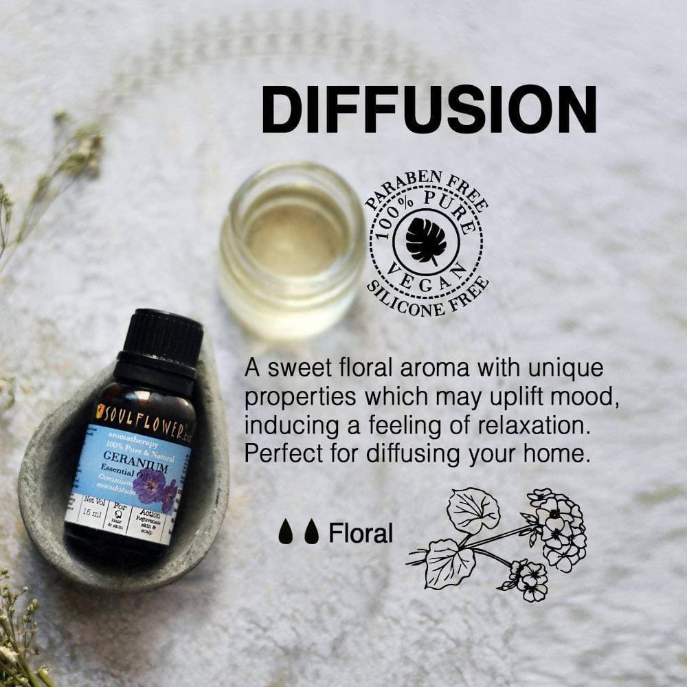 https://cdn.shopify.com/s/files/1/1857/6931/products/mPDckkFfEl.jpg?v=1614911238