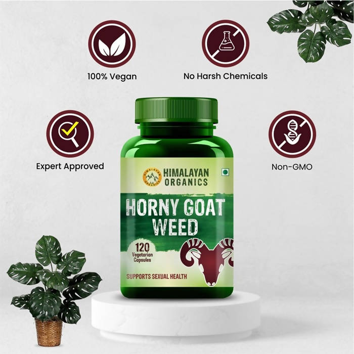 https://cdn.shopify.com/s/files/1/1857/6931/products/mUCR6RNJ6A.jpg?v=1626695050