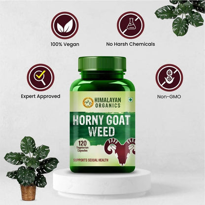 https://cdn.shopify.com/s/files/1/1857/6931/products/mUCR6RNJ6A.jpg?v=1626695050
