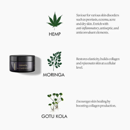 https://cdn.shopify.com/s/files/1/1857/6931/products/mVRJcDC2dj.jpg?v=1662383709