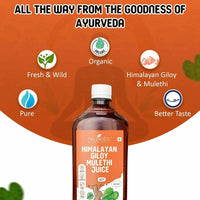 https://cdn.shopify.com/s/files/1/1857/6931/products/mX0UXvv3CW.jpg?v=1628589146