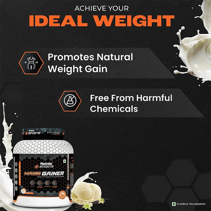 https://cdn.shopify.com/s/files/1/1857/6931/files/massgfrenchv2_1742552218.webp?v=1763705281
