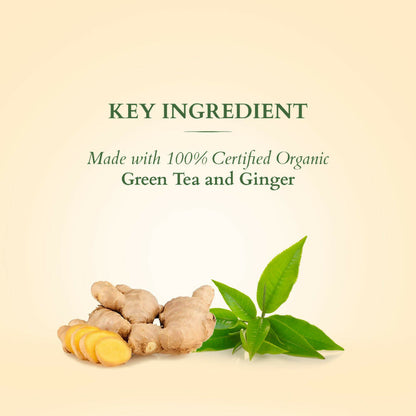 https://cdn.shopify.com/s/files/1/1857/6931/files/mbQApCiqiD.jpg?v=1741607560