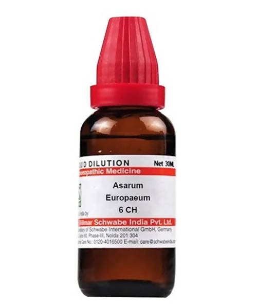 https://cdn.shopify.com/s/files/1/1857/6931/products/mblLFmnsG4.jpg?v=1640930161