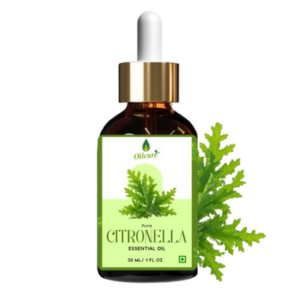 https://cdn.shopify.com/s/files/1/1857/6931/files/mbqSj0BVyv.jpg?v=1765515999