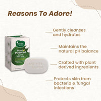 https://cdn.shopify.com/s/files/1/1857/6931/products/meWu2a6rIv.jpg?v=1676287256
