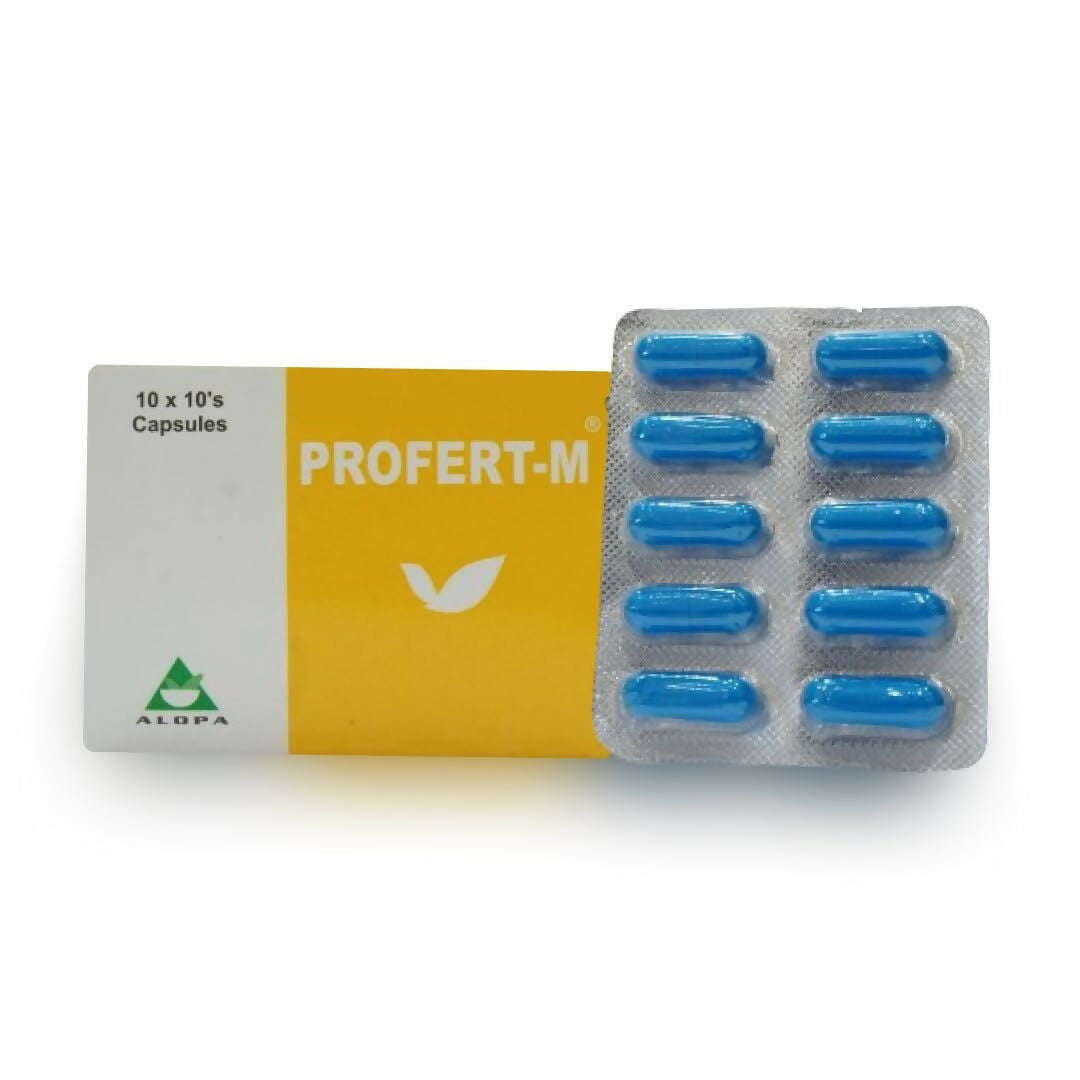 https://cdn.shopify.com/s/files/1/1857/6931/files/mgpGSFIo6O.jpg?v=1766571112