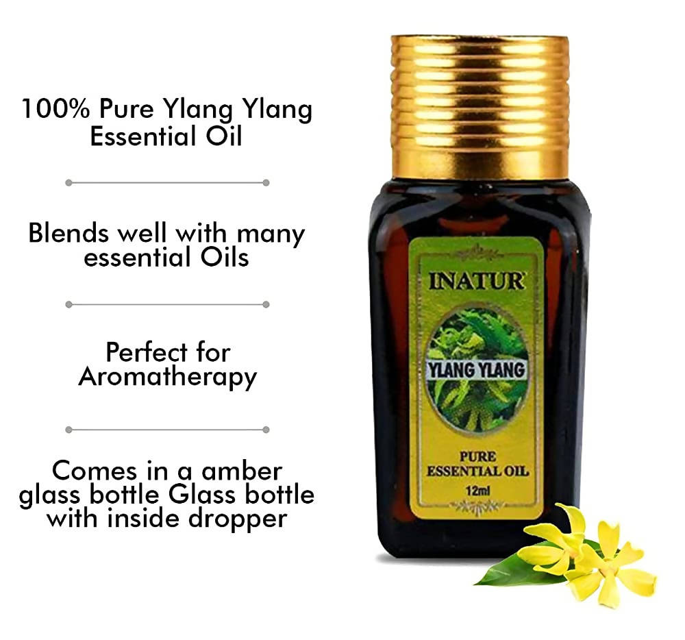 https://cdn.shopify.com/s/files/1/1857/6931/products/miQZeSw0v3.jpg?v=1638361816
