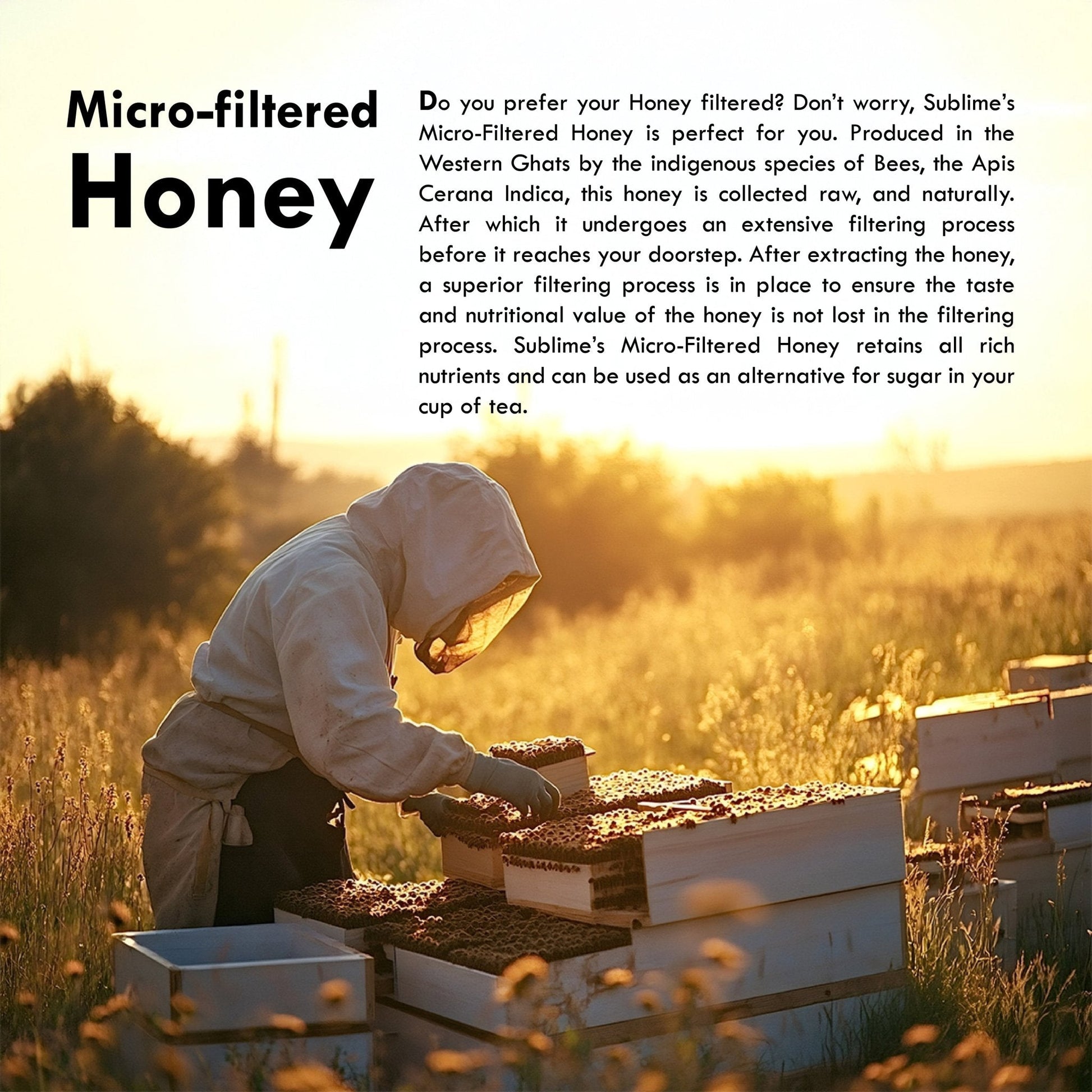 https://cdn.shopify.com/s/files/1/1857/6931/files/micro-filtered-honey-225g-137817.jpg?v=1771334825