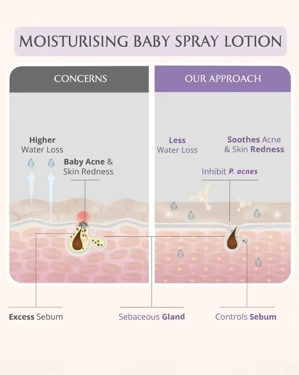 Image 6 of AreoVeda Mini Moisturising Kit