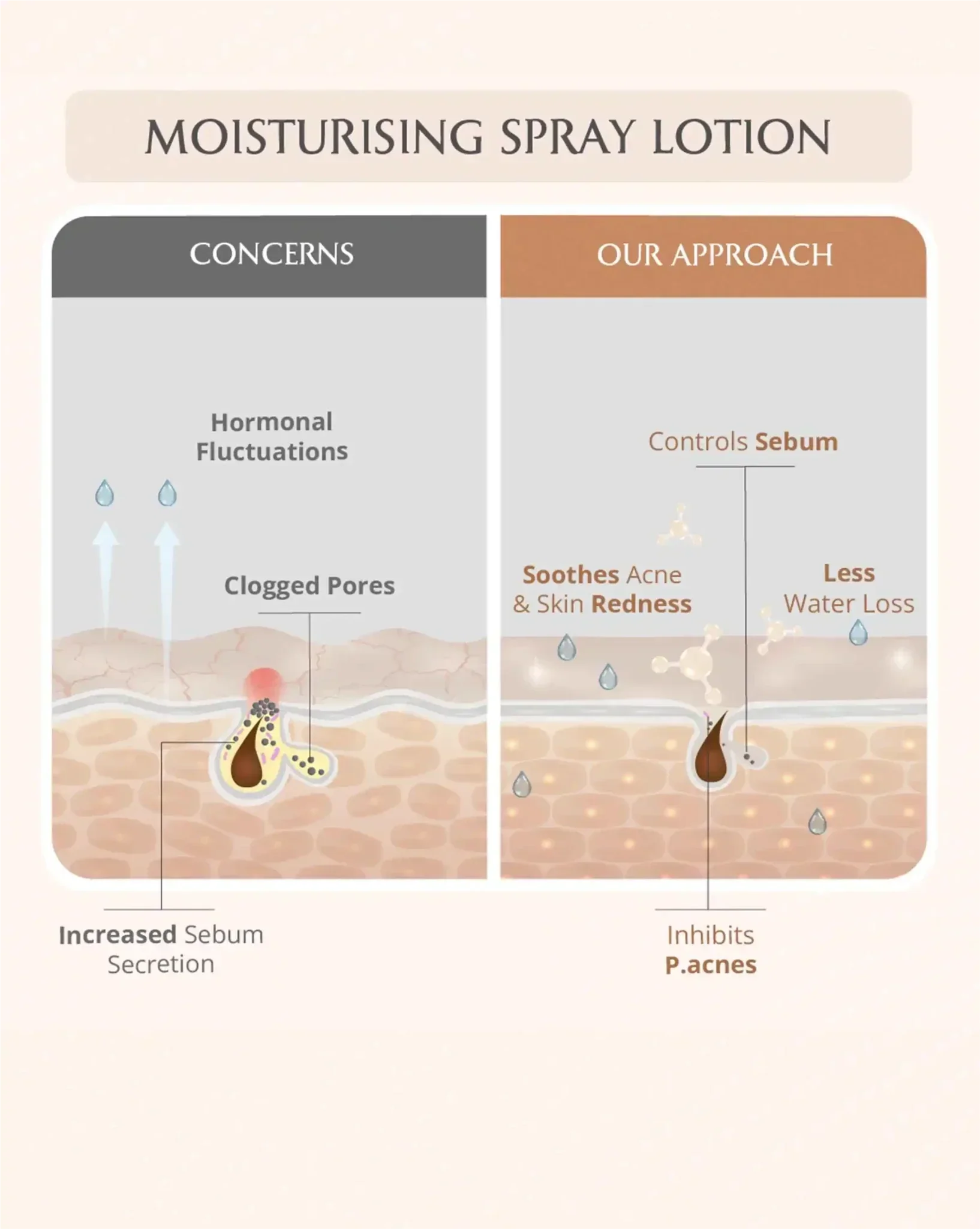 https://cdn.shopify.com/s/files/1/1857/6931/files/mini-mom-and-baby-lotion-combo-667492.webp?v=1773221151