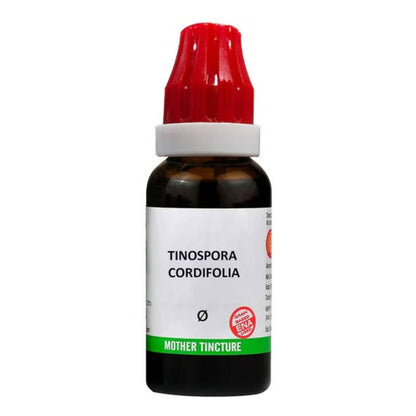 https://cdn.shopify.com/s/files/1/1857/6931/products/mjuG6qWWpB.jpg?v=1762337085