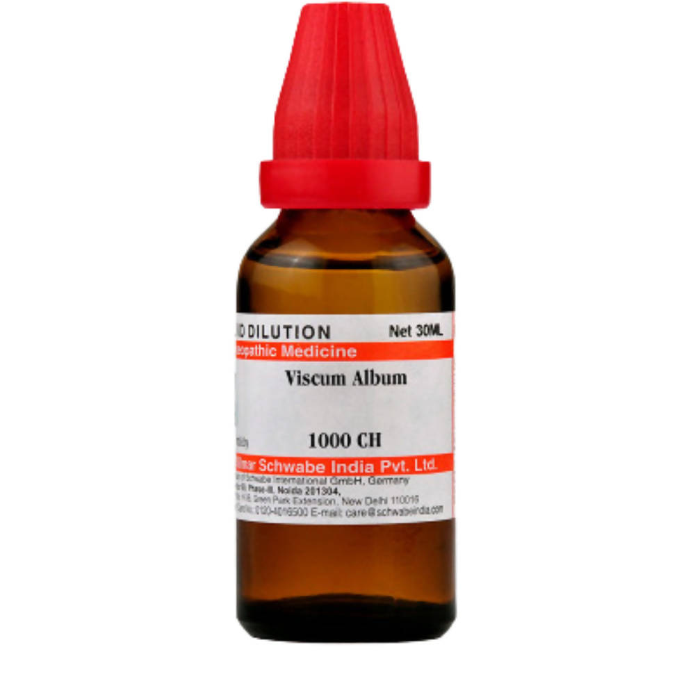 https://cdn.shopify.com/s/files/1/1857/6931/products/mlWUxJFLgW.jpg?v=1623983843