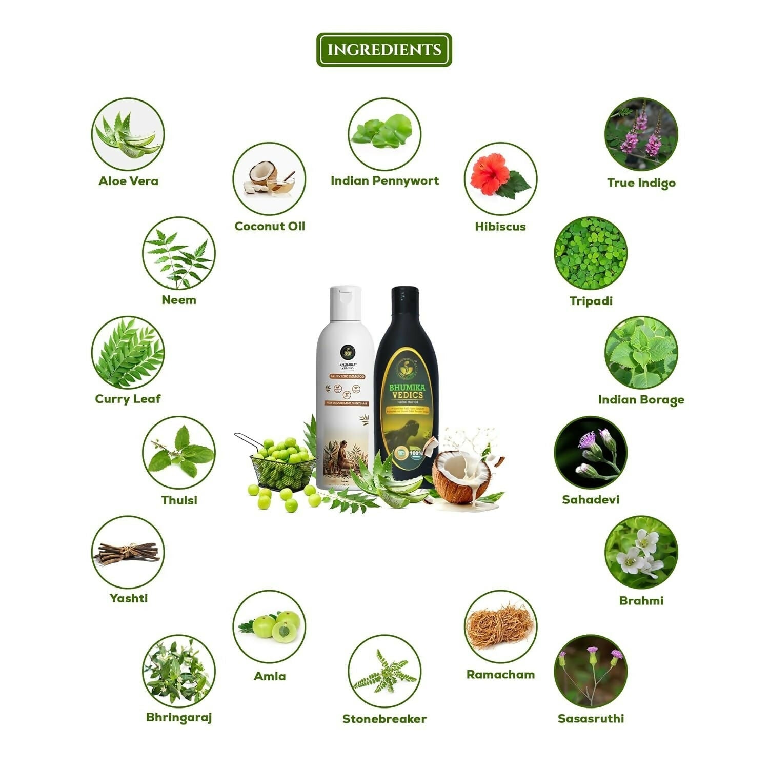 https://cdn.shopify.com/s/files/1/1857/6931/files/mmqzL2WKEb.jpg?v=1776764098