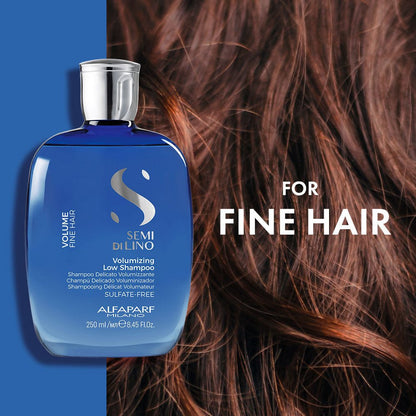 https://cdn.shopify.com/s/files/1/1857/6931/files/mp3Cp3kNNw-212352.jpg?v=1749191752
