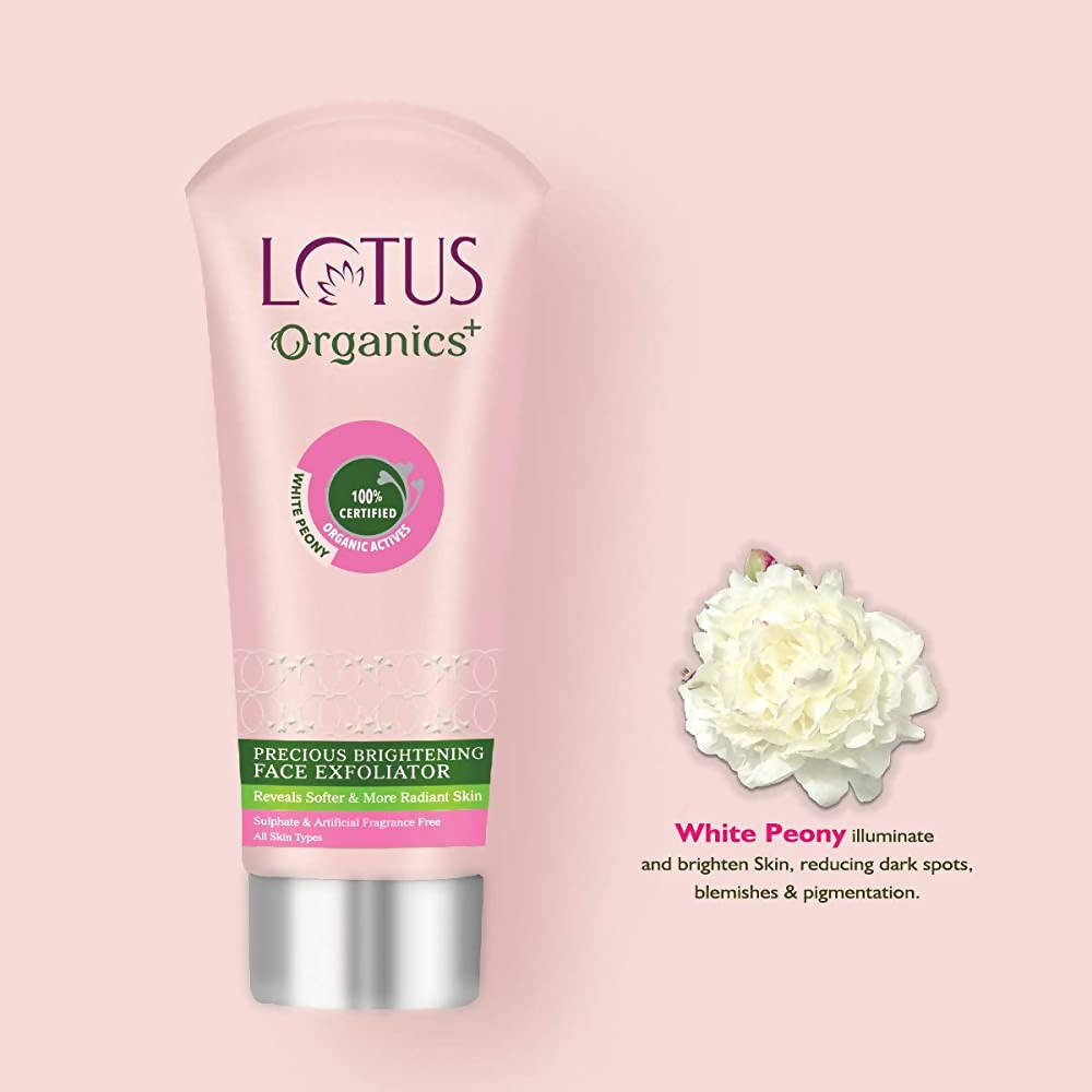 https://cdn.shopify.com/s/files/1/1857/6931/products/mpJtieBPJj.jpg?v=1648460935