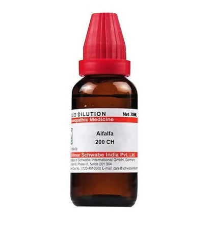 https://cdn.shopify.com/s/files/1/1857/6931/products/mr7FmW1Jei.jpg?v=1641369447