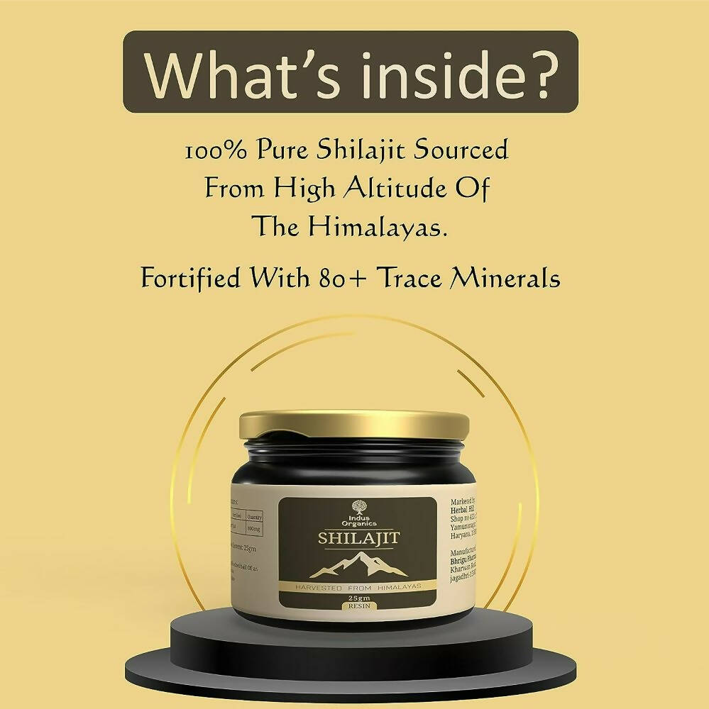 https://cdn.shopify.com/s/files/1/1857/6931/products/mrOuWKedkD.jpg?v=1693986151
