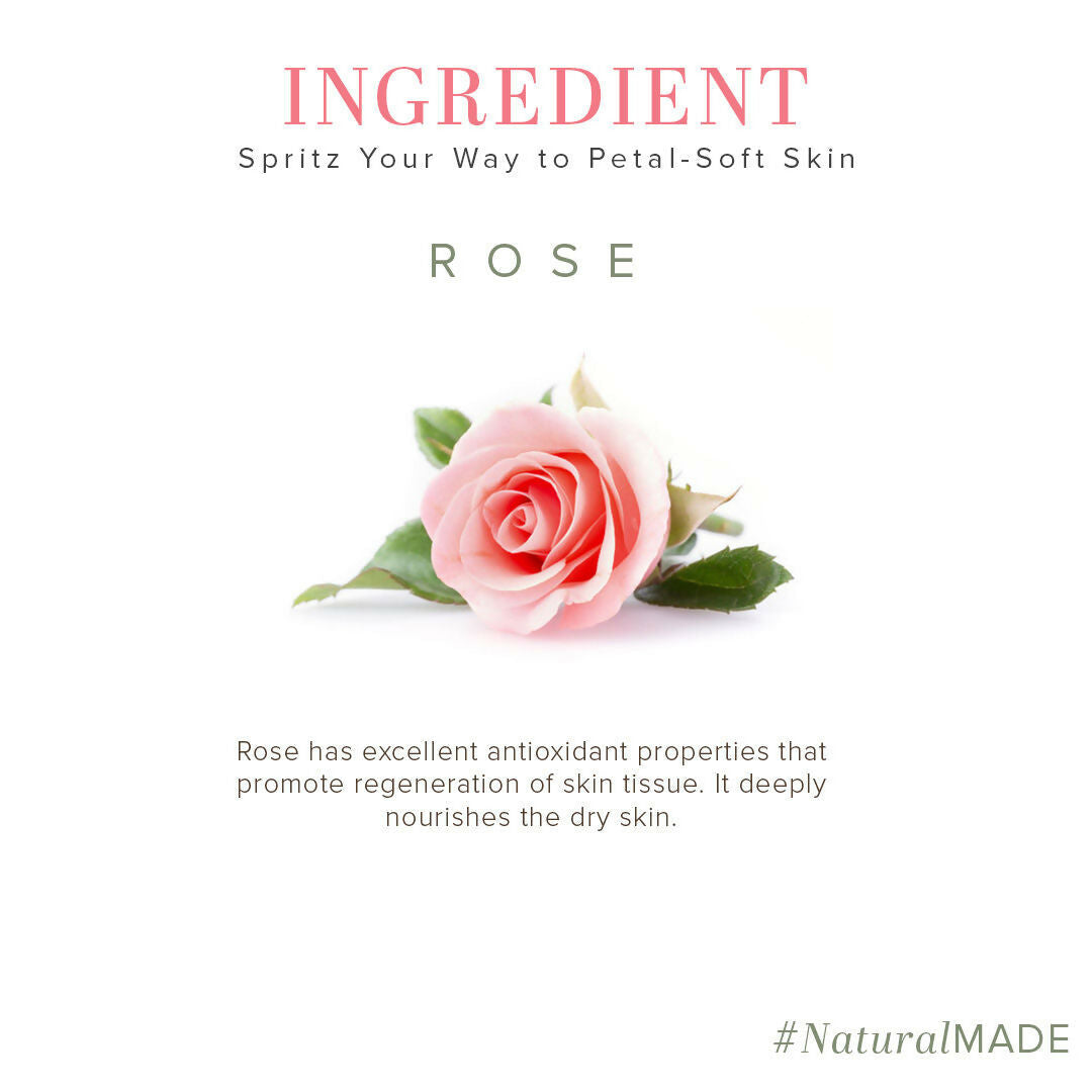 https://cdn.shopify.com/s/files/1/1857/6931/files/msD55zKgXA.jpg?v=1720179148