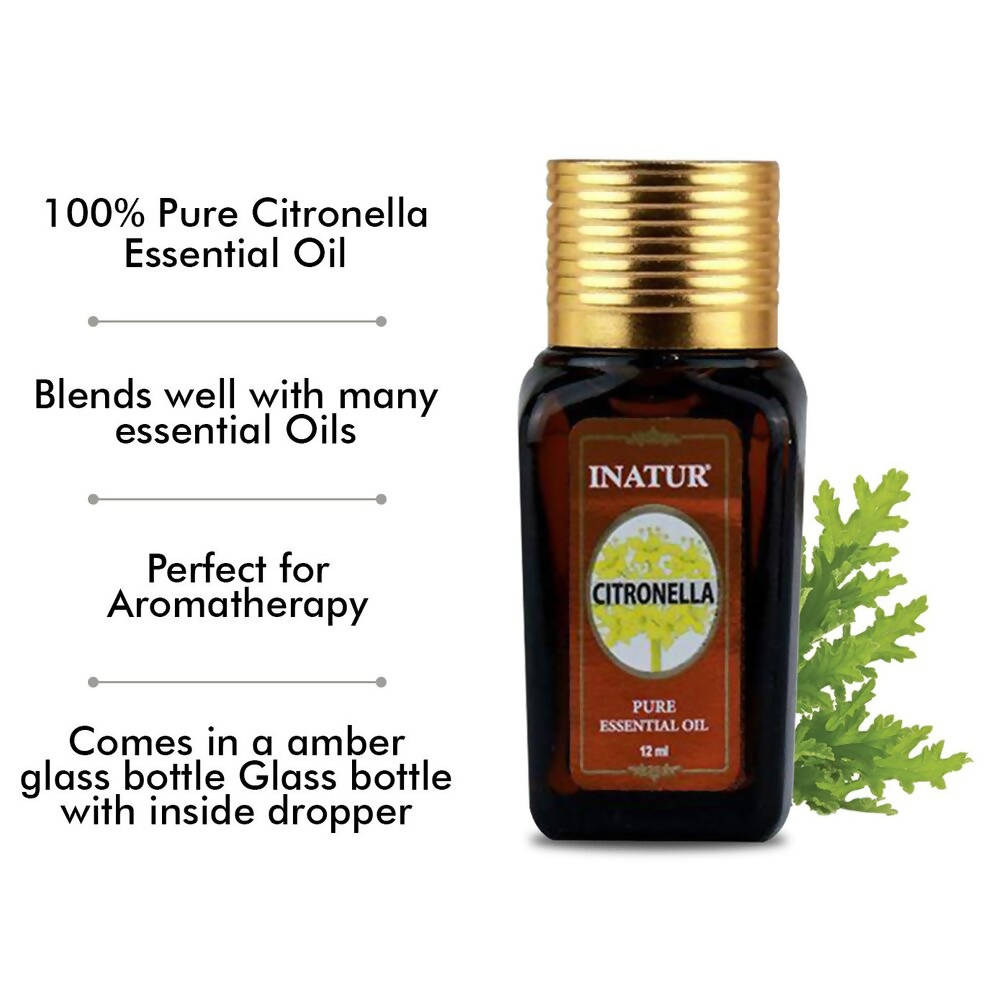 https://cdn.shopify.com/s/files/1/1857/6931/products/msLt3eTFnM.jpg?v=1638362496