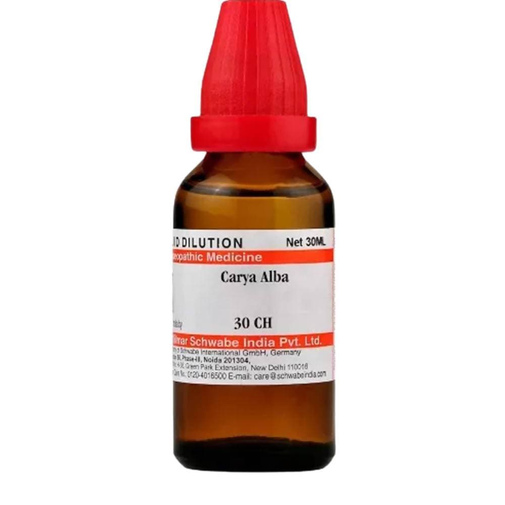 https://cdn.shopify.com/s/files/1/1857/6931/products/msRnFPrL1Z.jpg?v=1613912167
