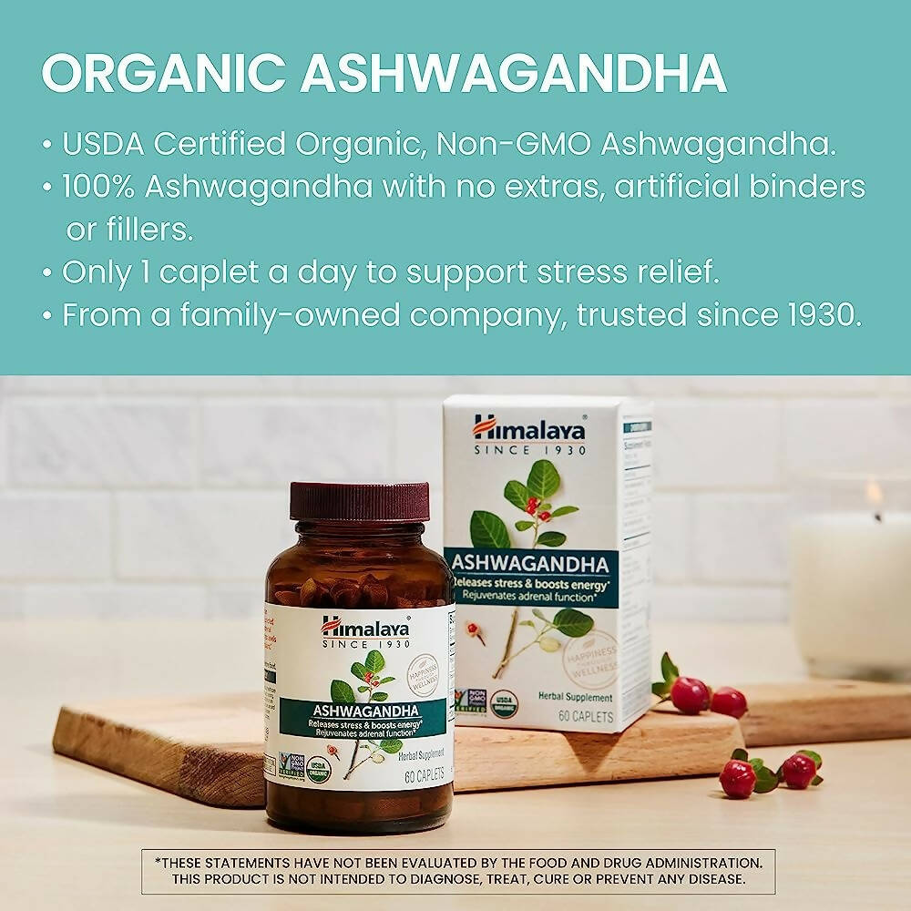 https://cdn.shopify.com/s/files/1/1857/6931/products/msj6AYG3Dm.jpg?v=1688552411