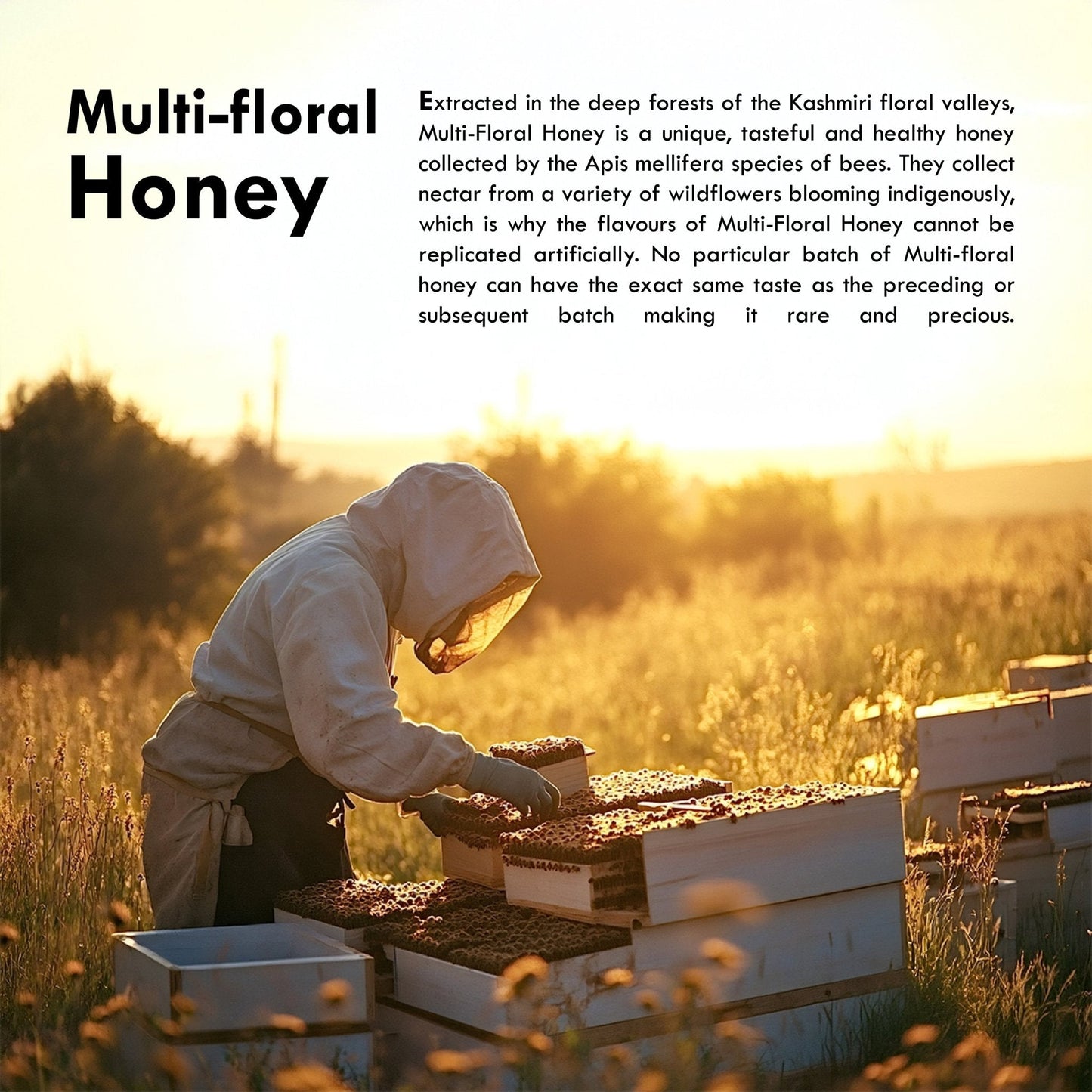 https://cdn.shopify.com/s/files/1/1857/6931/files/multi-floral-honey-225g-510016.jpg?v=1771334966