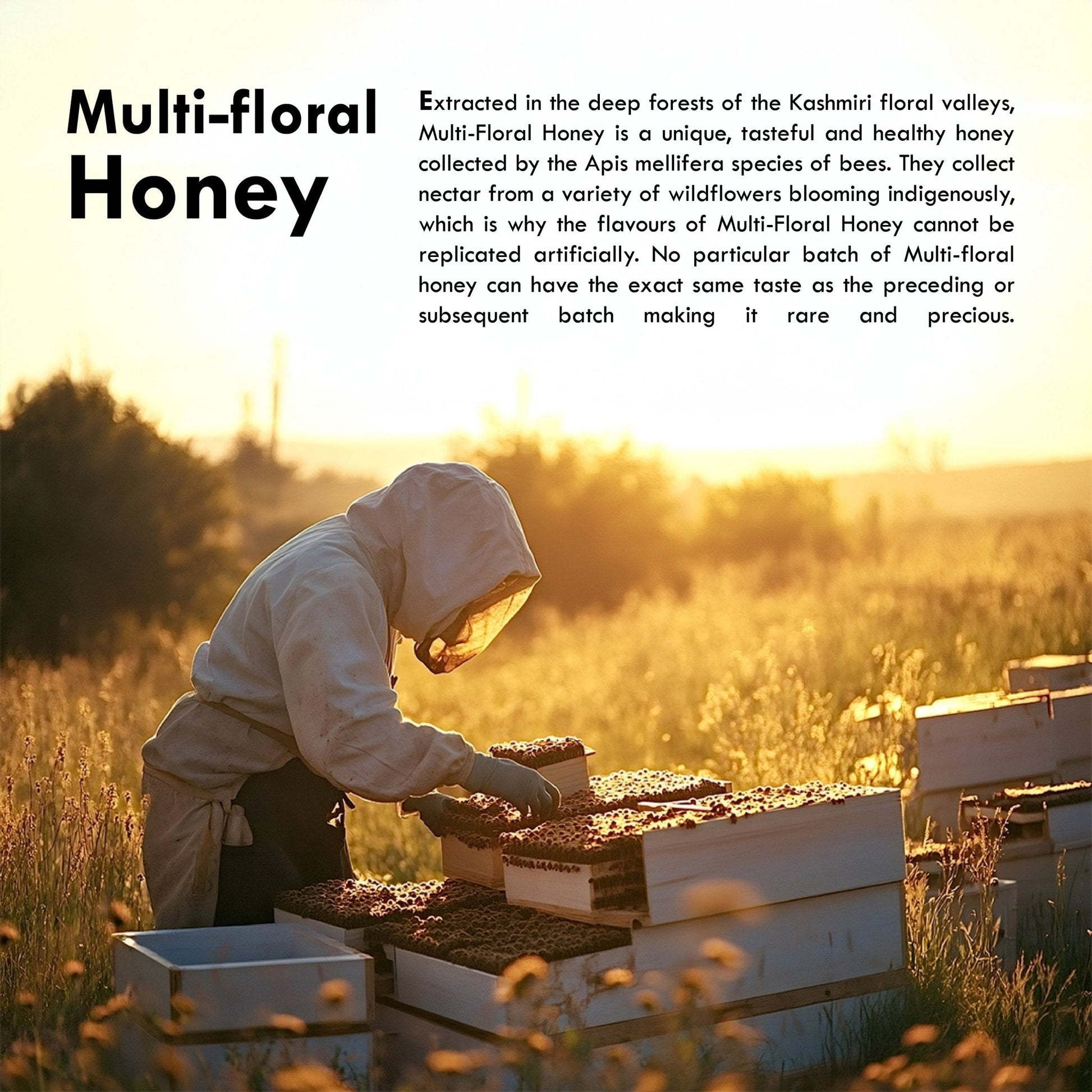 https://cdn.shopify.com/s/files/1/1857/6931/files/multi-floral-honey-225g-510016.jpg?v=1771334966