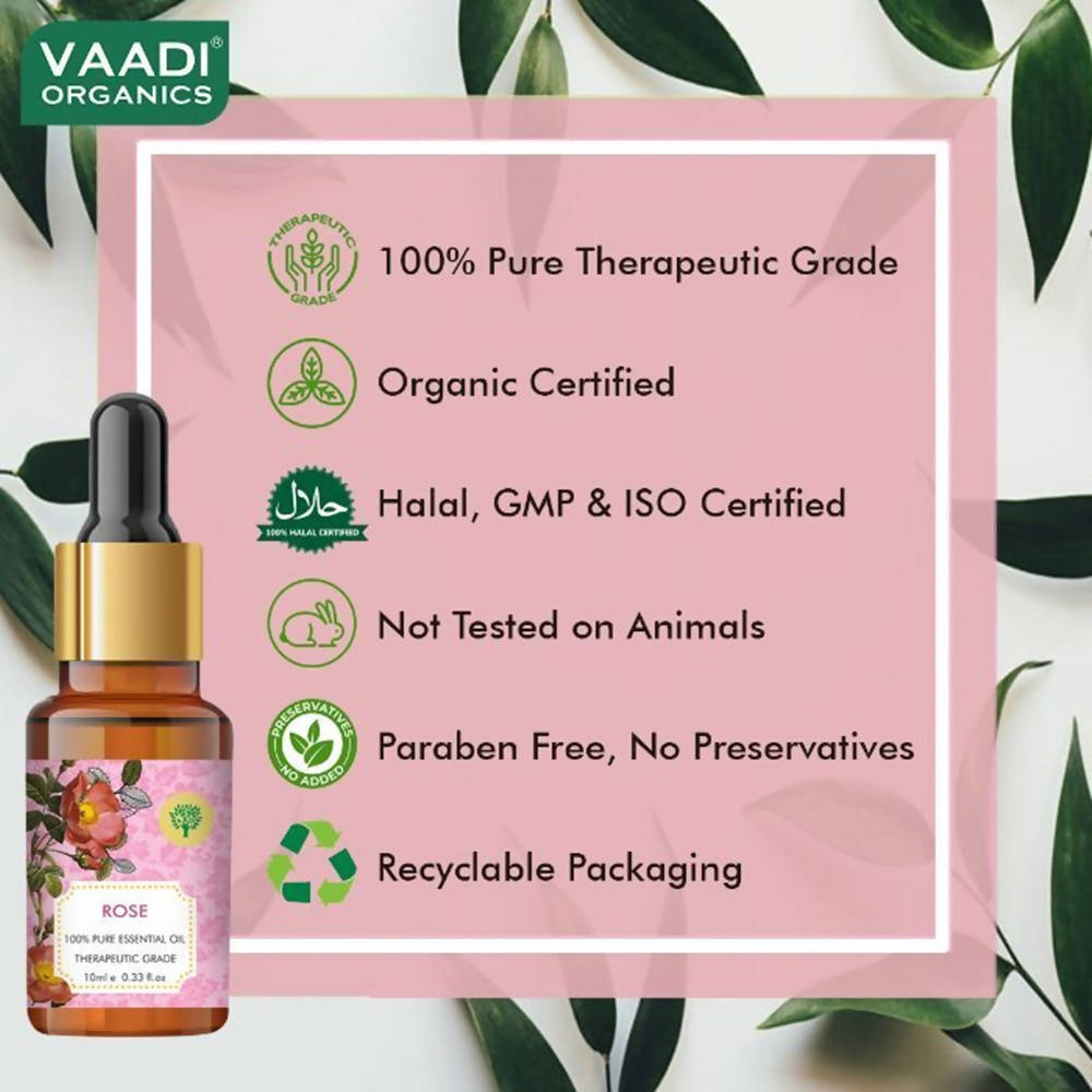 https://cdn.shopify.com/s/files/1/1857/6931/products/mxp41Sqteo.jpg?v=1617935581