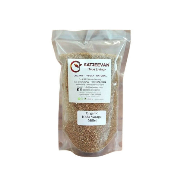 https://cdn.shopify.com/s/files/1/1857/6931/products/my2DaqSMne.jpg?v=1707475571