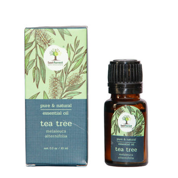 https://cdn.shopify.com/s/files/1/1857/6931/products/myARRqukzO.jpg?v=1658579643