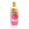 https://cdn.shopify.com/s/files/1/1857/6931/products/n2yGCLbfmn.jpg?v=1617935570