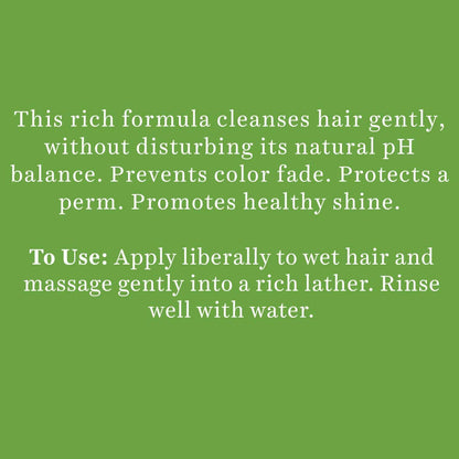 https://cdn.shopify.com/s/files/1/1857/6931/products/n3ZsWqS2q8.jpg?v=1666242796