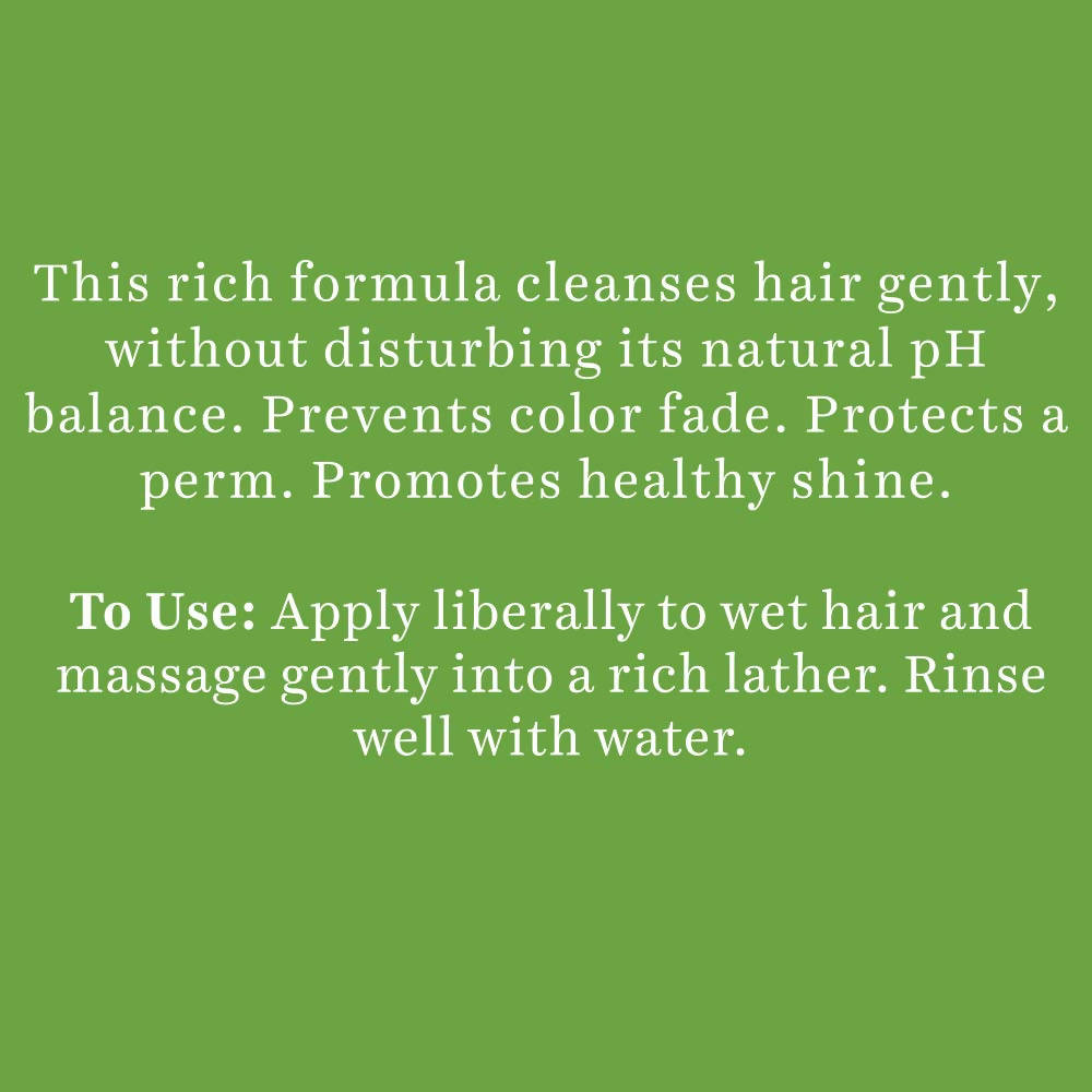 https://cdn.shopify.com/s/files/1/1857/6931/products/n3ZsWqS2q8.jpg?v=1666242796