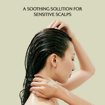 https://cdn.shopify.com/s/files/1/1857/6931/files/n5Lm6BY5Qa.png?v=1767336195