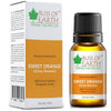 https://cdn.shopify.com/s/files/1/1857/6931/products/n6H0JeDmrA.jpg?v=1762361315