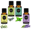 https://cdn.shopify.com/s/files/1/1857/6931/products/n8gwTABt3t.jpg?v=1762390769