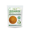 Image 1 of 250 gm for the product Yuvagrow Dhal Chutney Powder